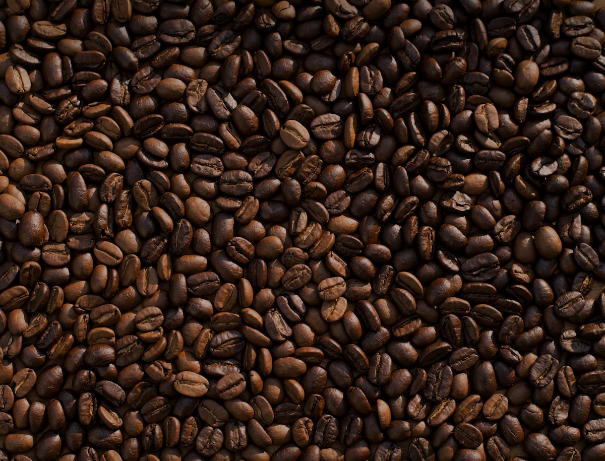 Coffee beans prepared for export